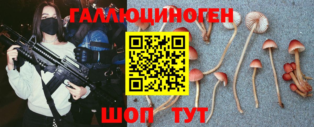 Жигулёвск  Галлюциногенные грибы прущие грибы  Вход с VPN 